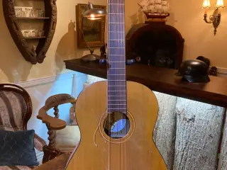 Barton  Rosita Guitar