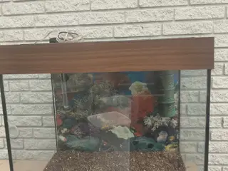 Akvarier 120L