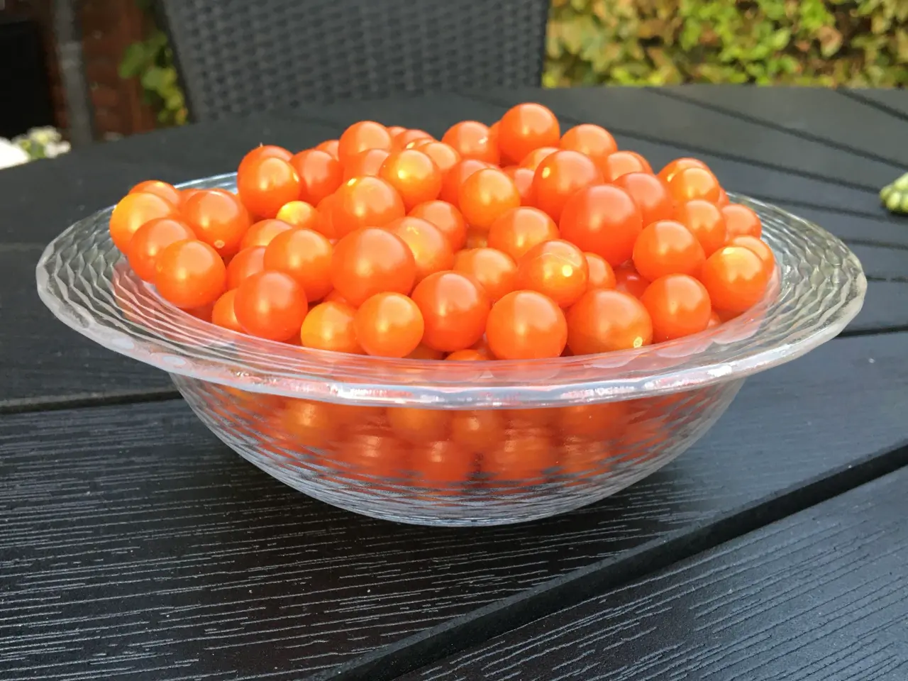 Billede 22 - Sunde frø af 40 spændende tomat sorter