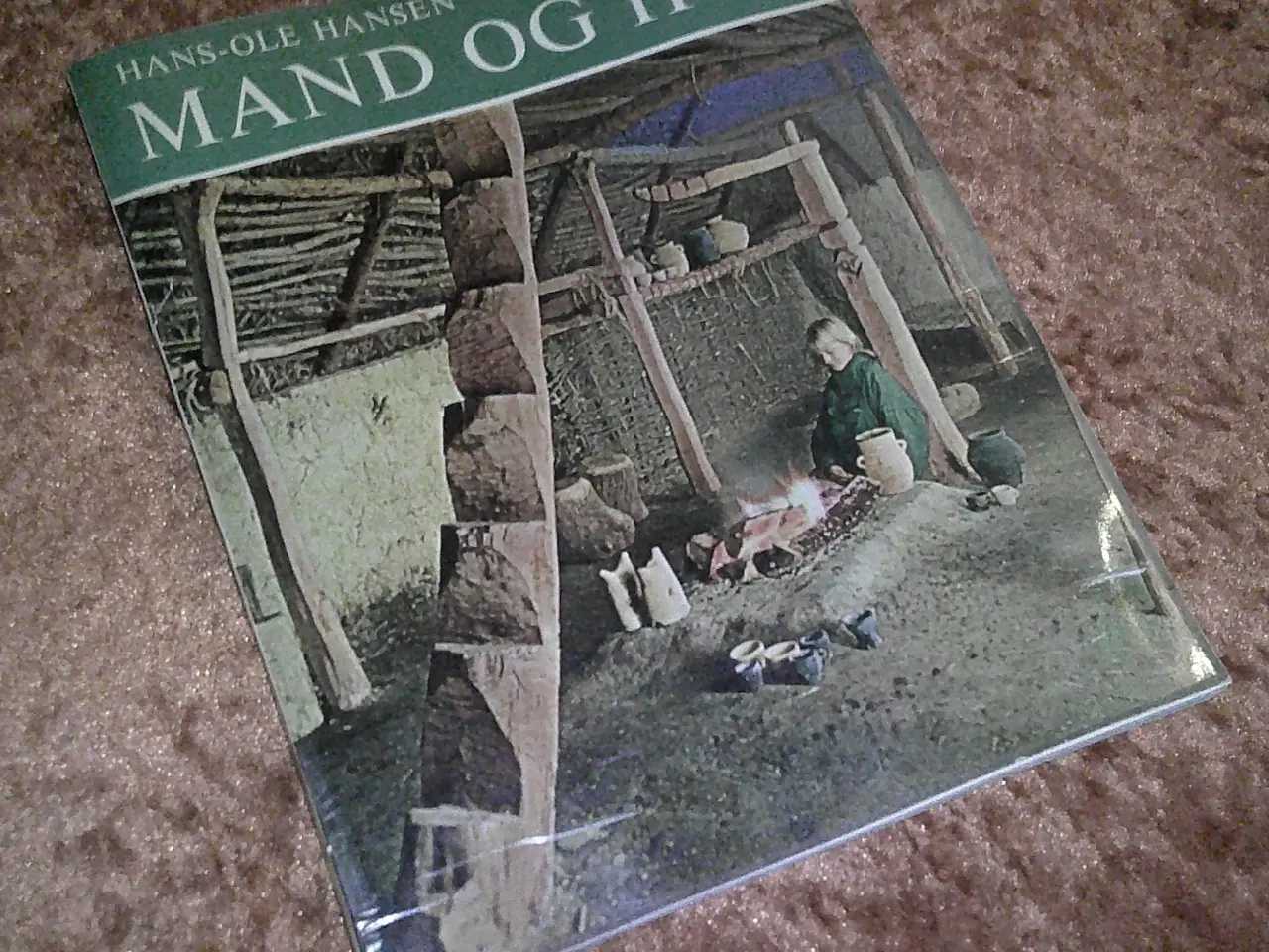 Billede 1 - Mand og hus, Hans-Ole Hansen