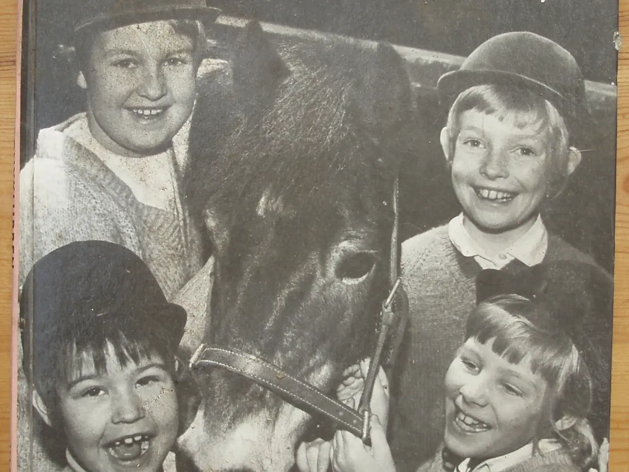 Billede 1 - Ponyklubben af Nan Inger & Sture Ryman