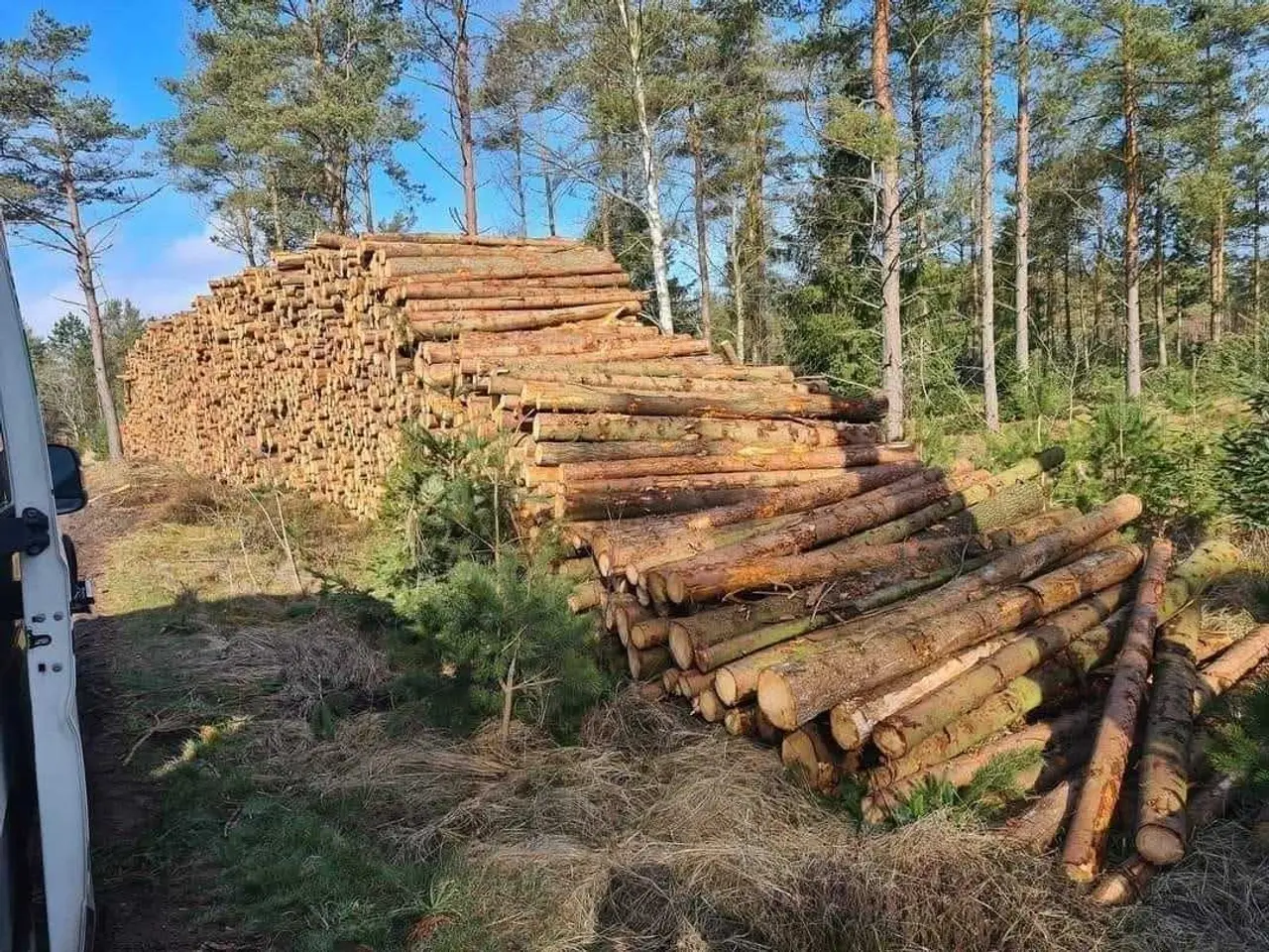 Billede 2 - Så er der igen brænde på lager til hurtig levering