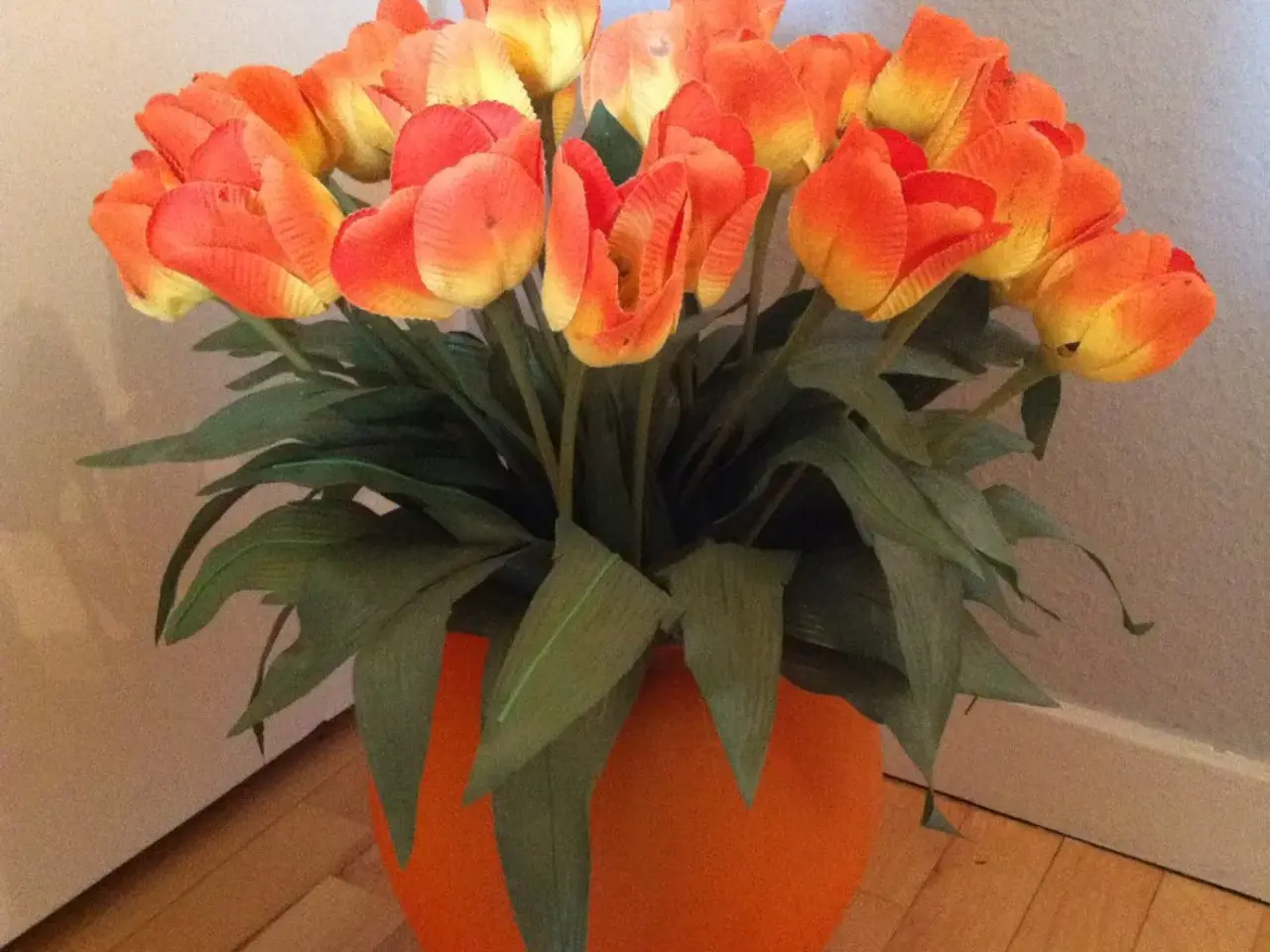 Billede 4 - Orange tulipaner til salg