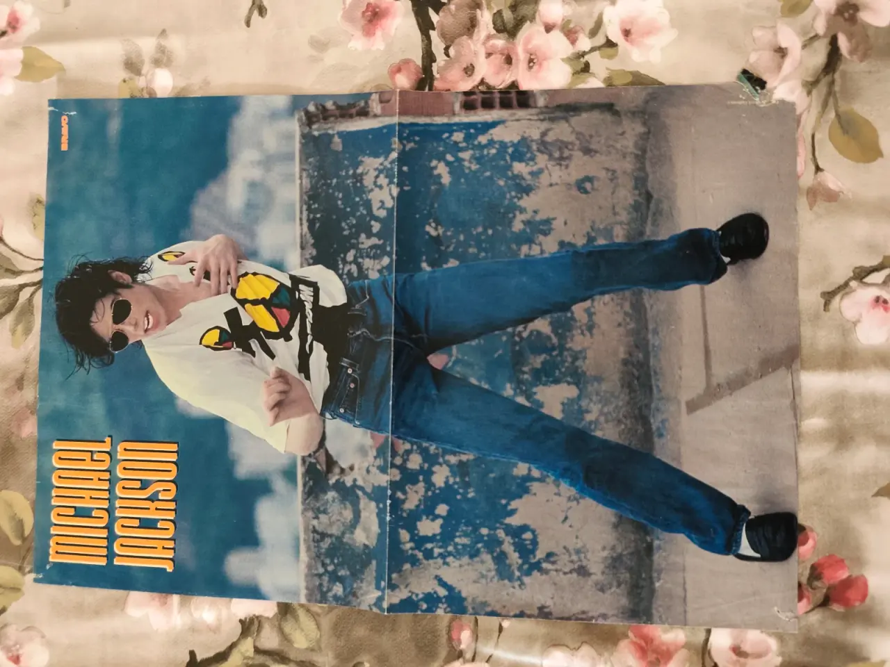 Billede 1 - Michael Jackson plakat fra they dont care about us