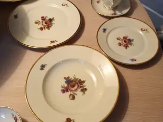 Søger det her stel