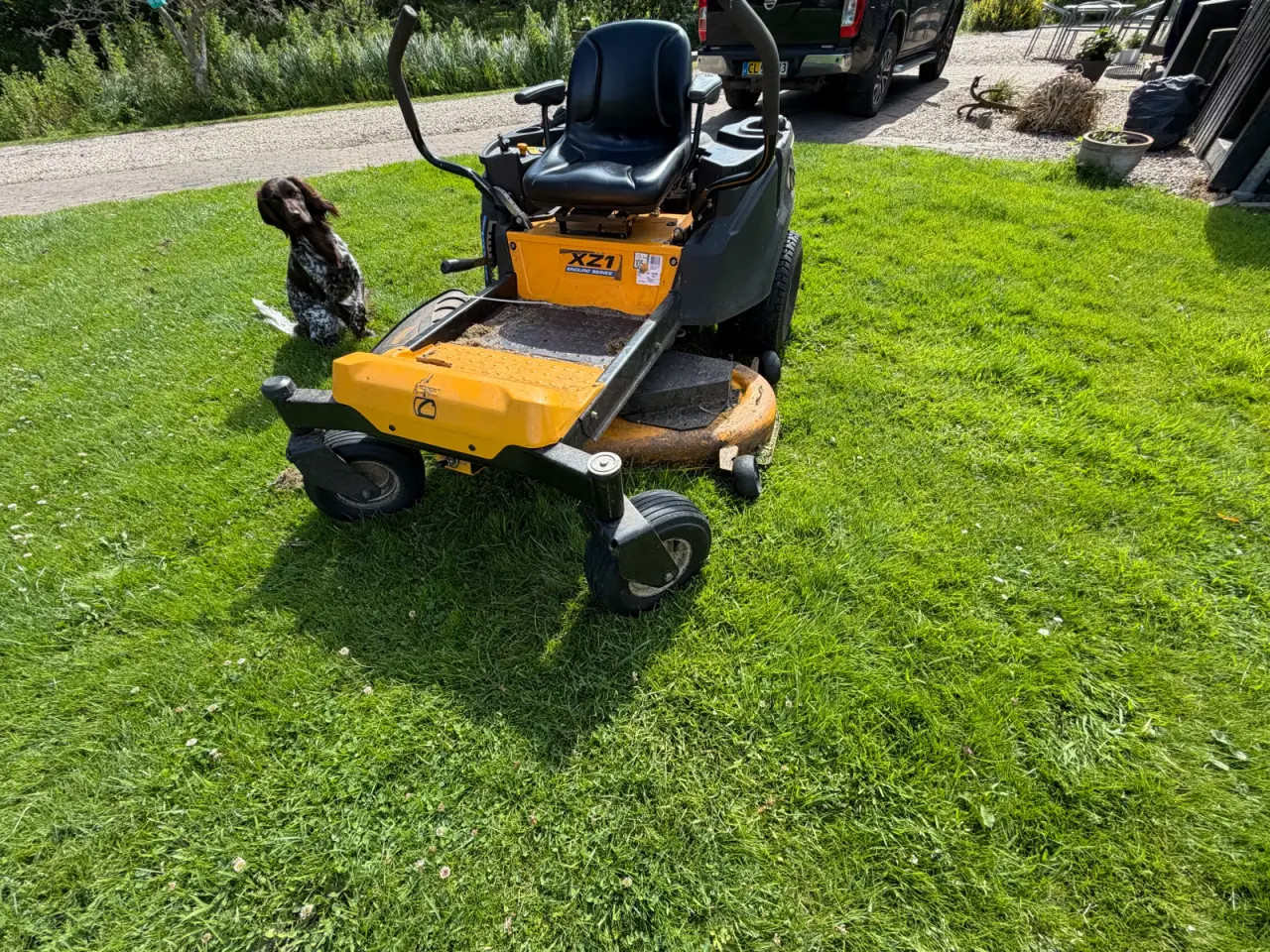 Billede 2 - Cub cadet 