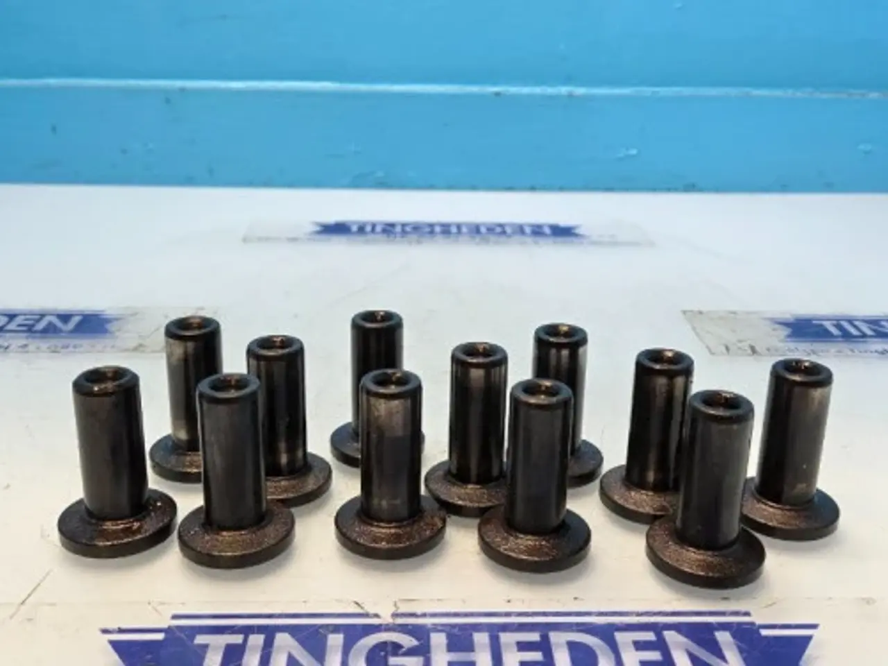 Billede 2 - Case 1620  Ventilløfter  3055052R1   12STK