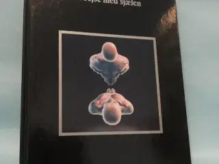 På rejse med sjælen - Mystikkens Verden