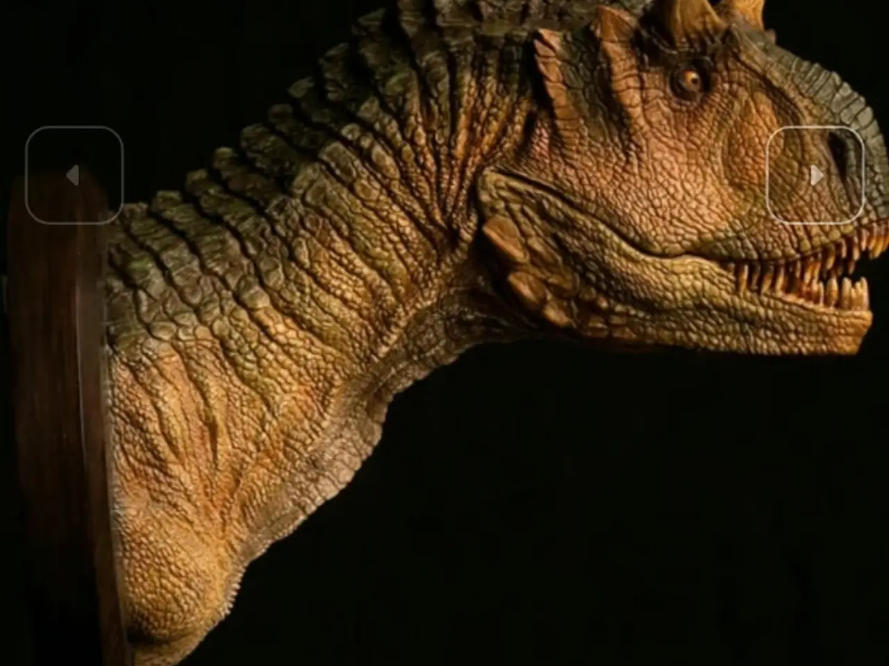 Billede 2 - Dinosaur Bust  Damtoys
