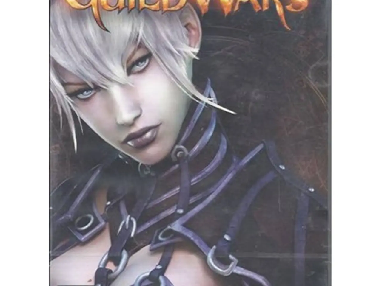 Billede 1 - Guild Wars