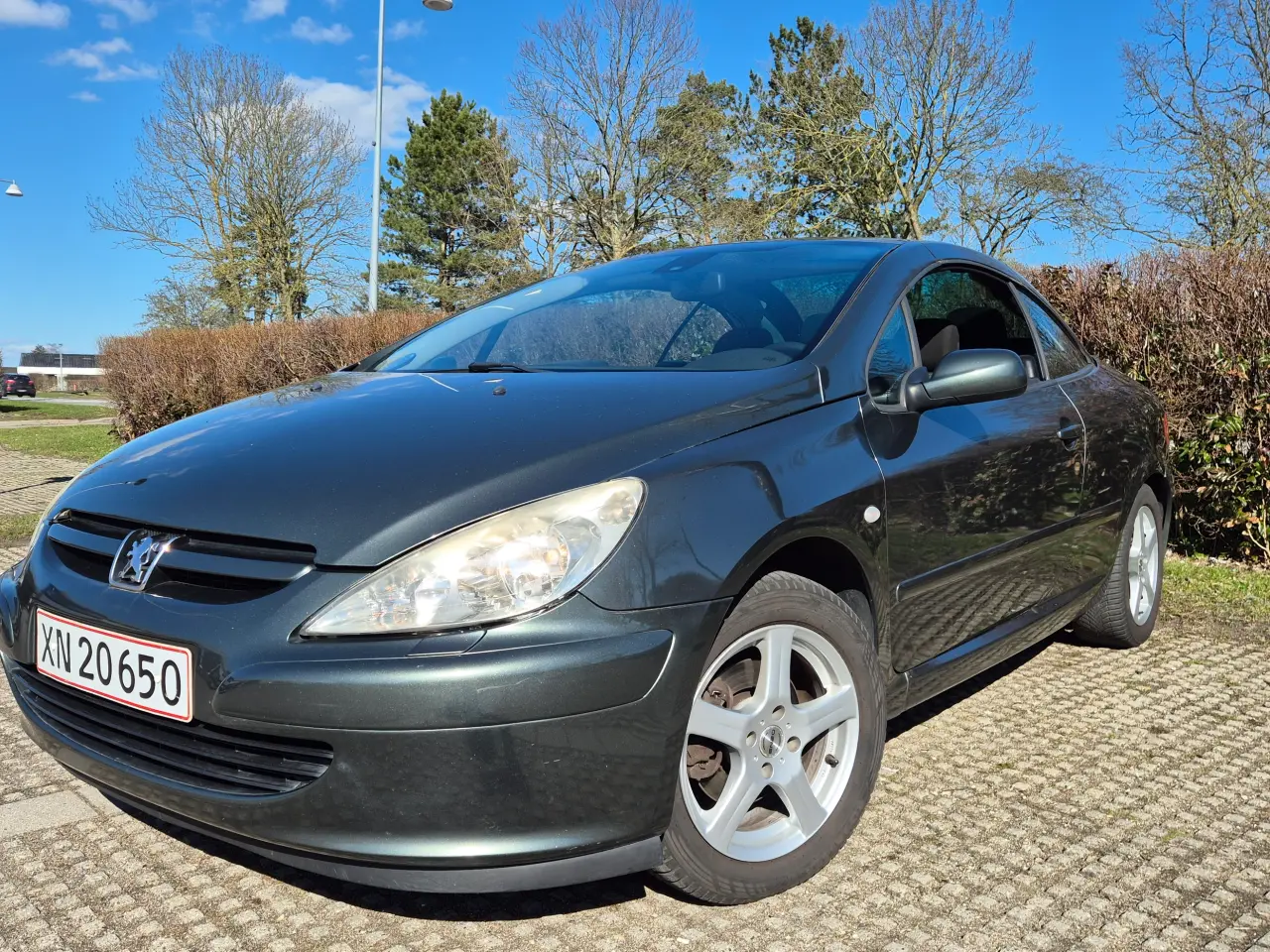 Billede 12 - 307 Cabriolet