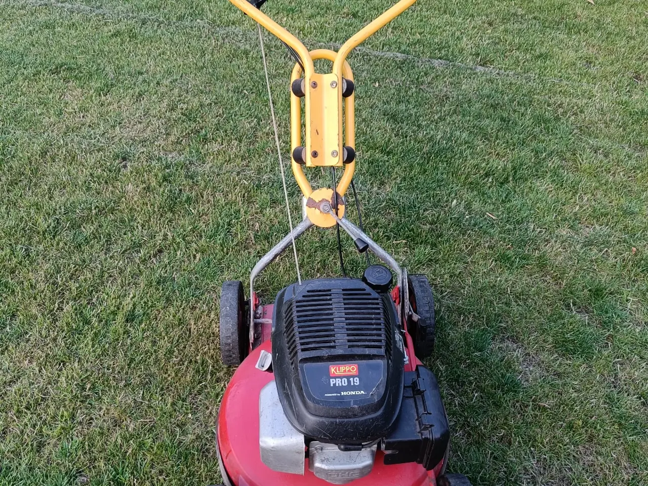 Billede 1 - Klippo pro 19 m. Honda motor