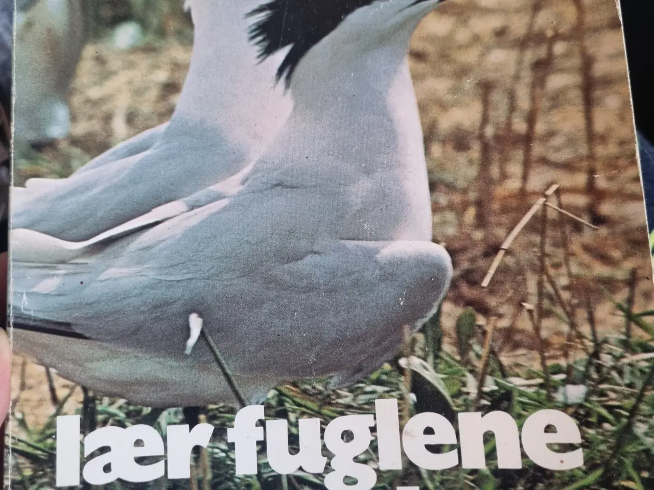 Billede 10 - Annonce 320 - Bøger og blade