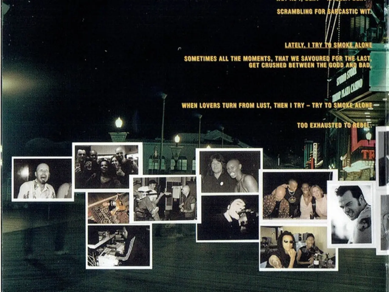 Billede 6 - Skunk Anansie – Post Orgasmic Chill – CD