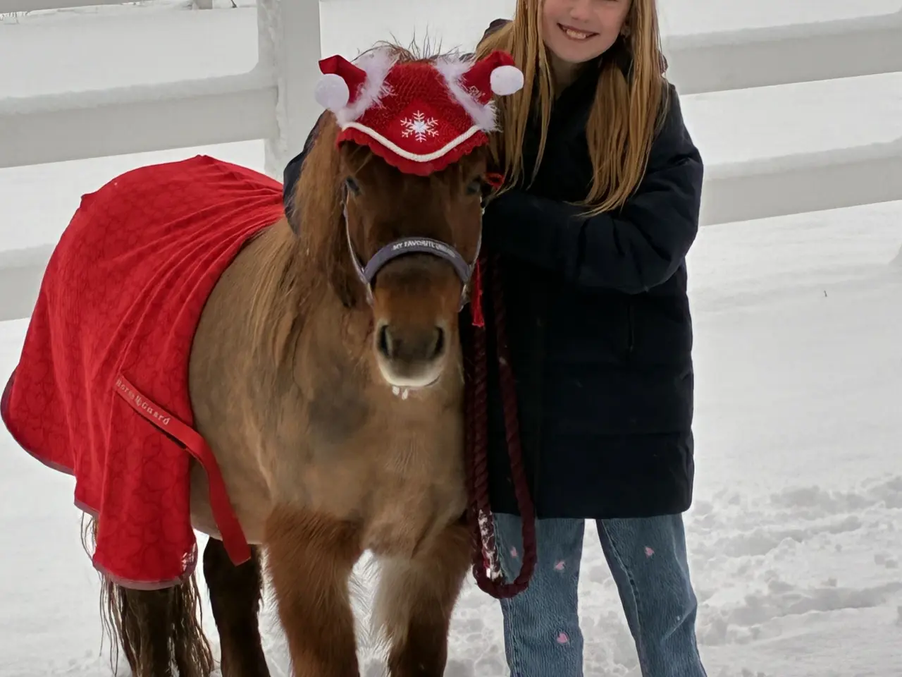 Billede 2 - Verdens bedste børnepony 