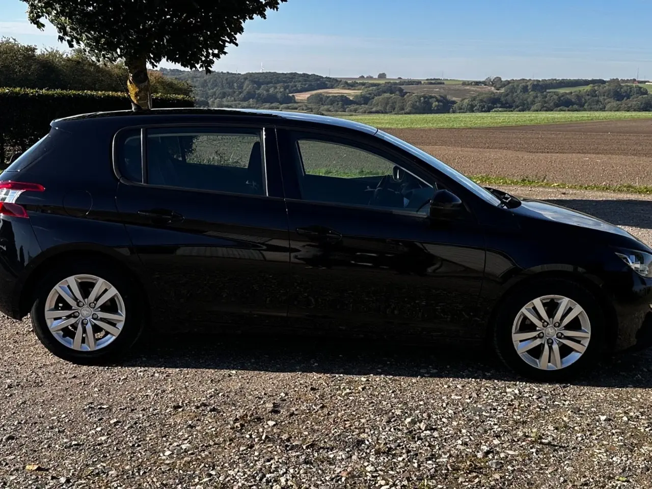 Billede 2 - Peugeot 308 1,6 HDi 92 Access