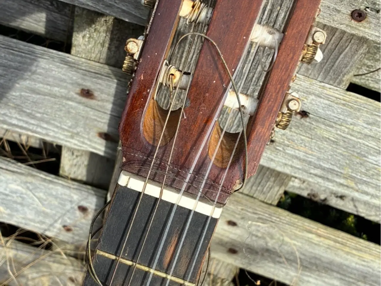 Billede 6 - Admira, Paloma guitar