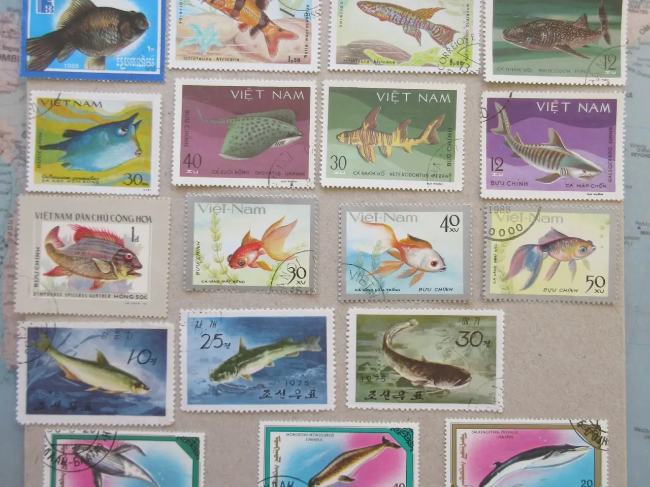 Billede 3 - Over 100 flotte frimærker med Fisk