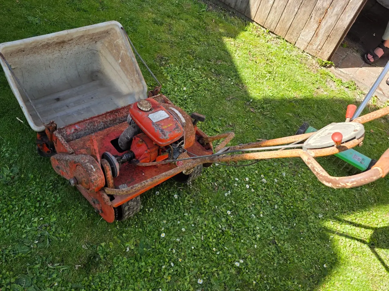 Billede 1 - Sjælden plæneklipper