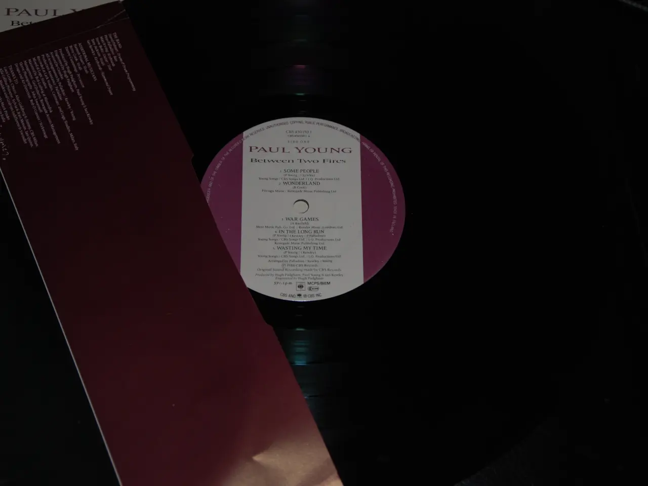Billede 5 - Lp - Paul Young - Between Two Fires