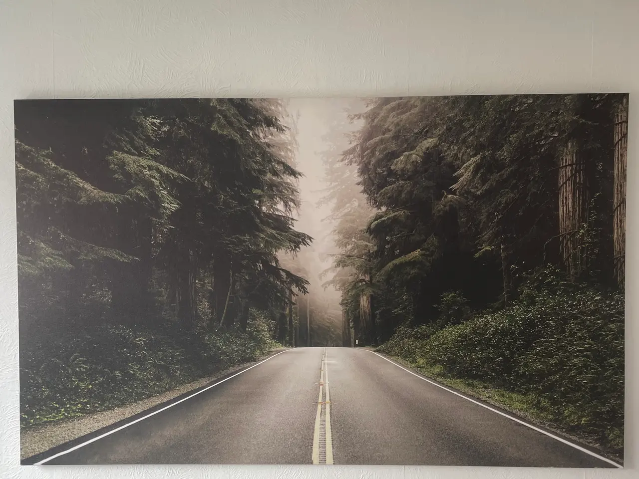 Billede 1 - ILVA Lærreds Billede “Forest Road”