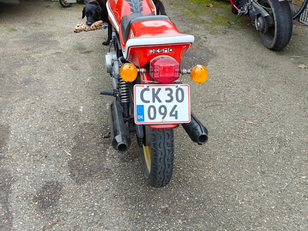 Billede 3 - Ducati 500 Sport Desmo