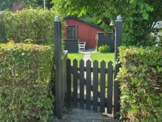 Kolonihave Vibelund Havekoloni