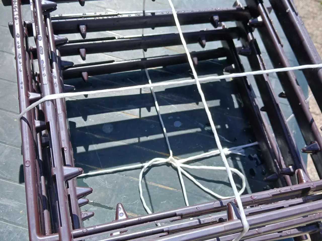 Billede 1 - 8 stk. Beesnapp 12 x 10 plastik rammer