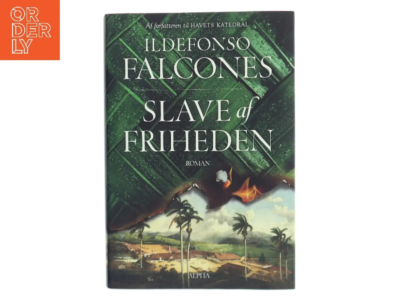 Billede 1 - Slave af friheden af Ildefonso Falcones (Bog)