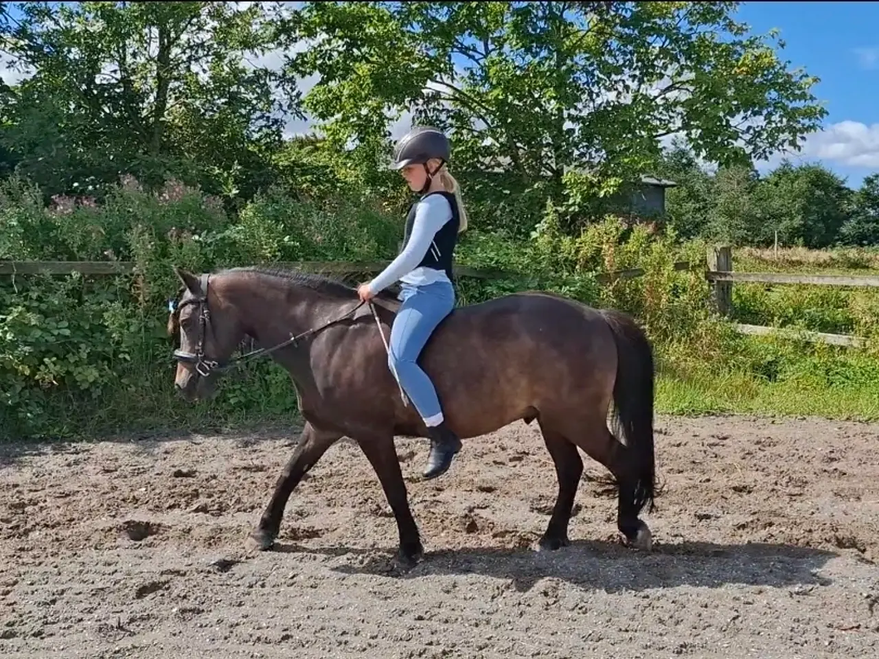 Billede 1 - Sød pony til den lille rytter