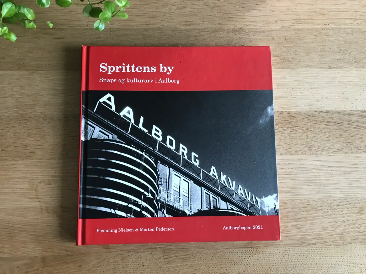 Billede 1 - Sprittens by    -  Aalborgbogen 2021