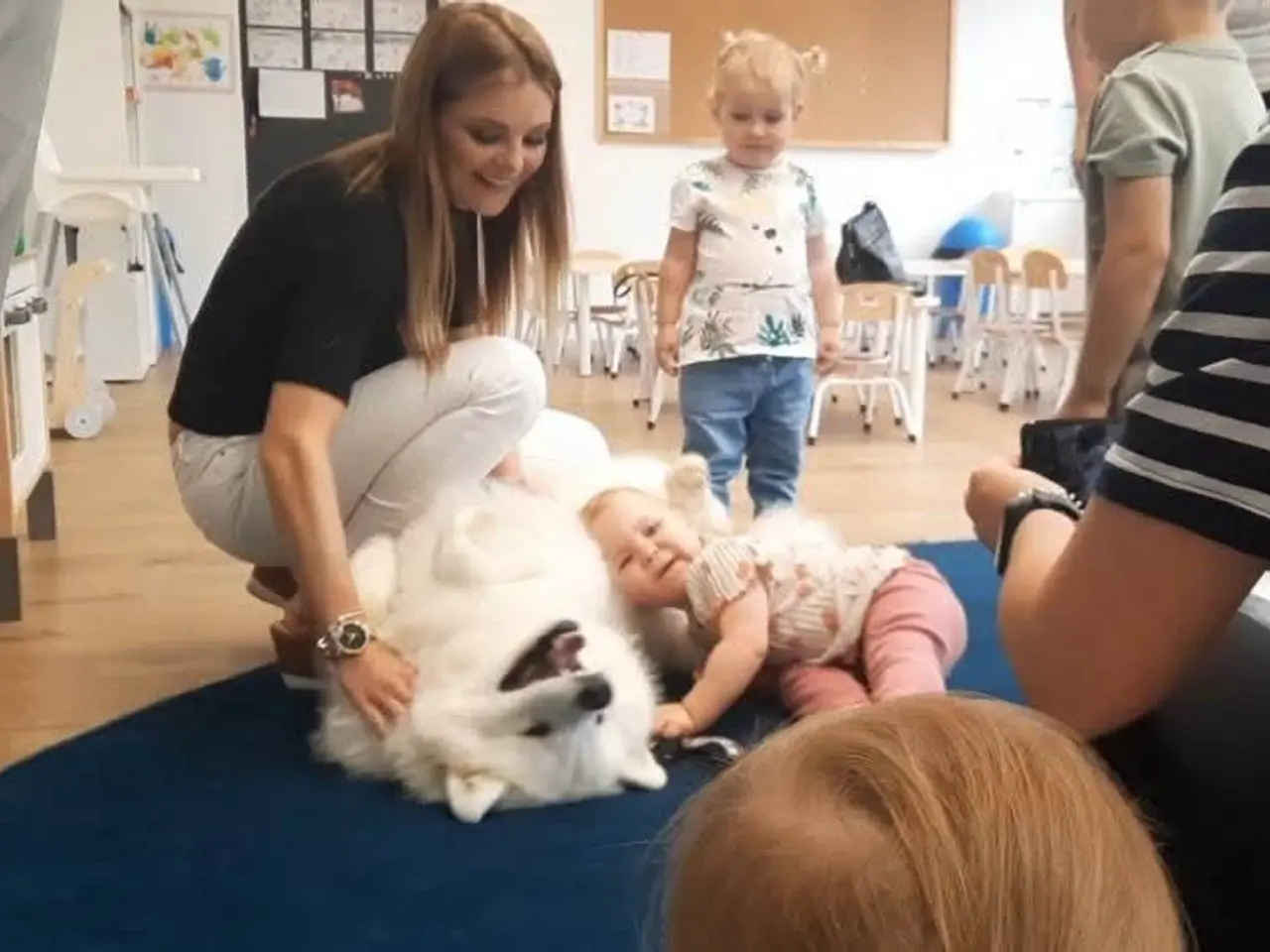 Billede 18 - Samojed-hvalpe fra anerkendt FCI-kennel 