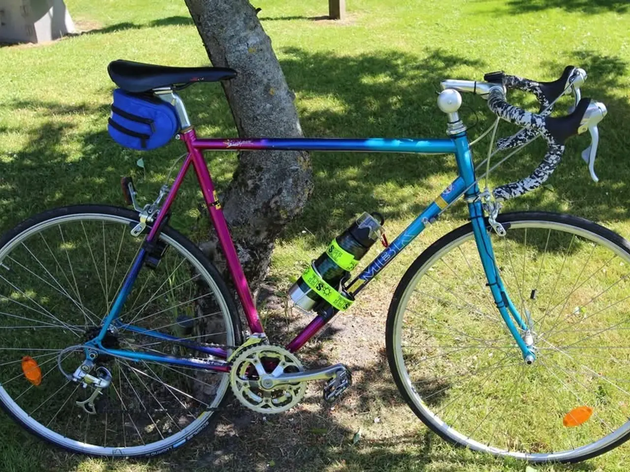Billede 1 - Racer cykel er bare ok med alt