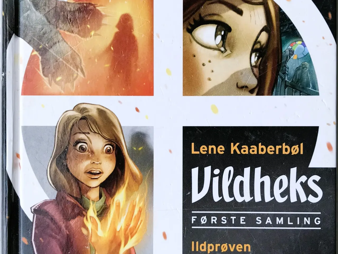 Billede 1 - Vildheks - første Samling