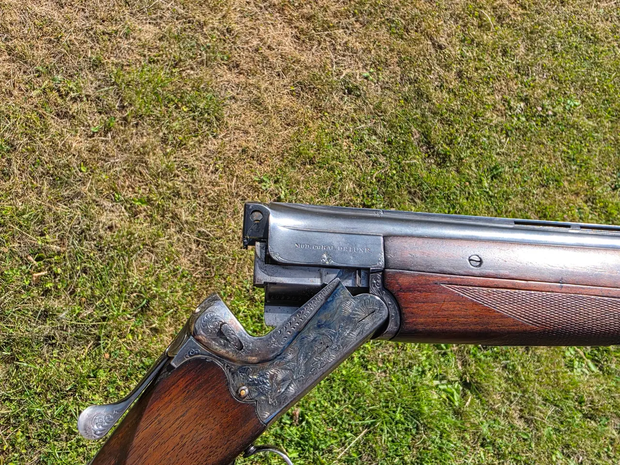 Billede 19 - AYA Goldpoint, Ambassador eller Coral Deluxe