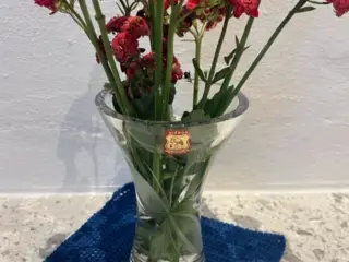 Bohemia vase