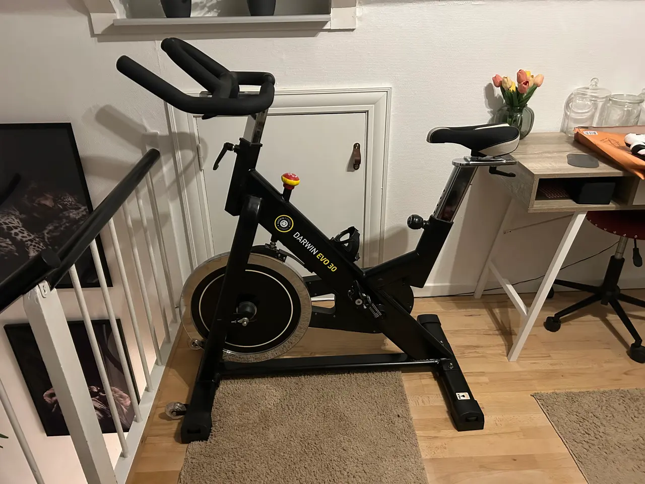 Billede 1 - Darwin spinning cykel