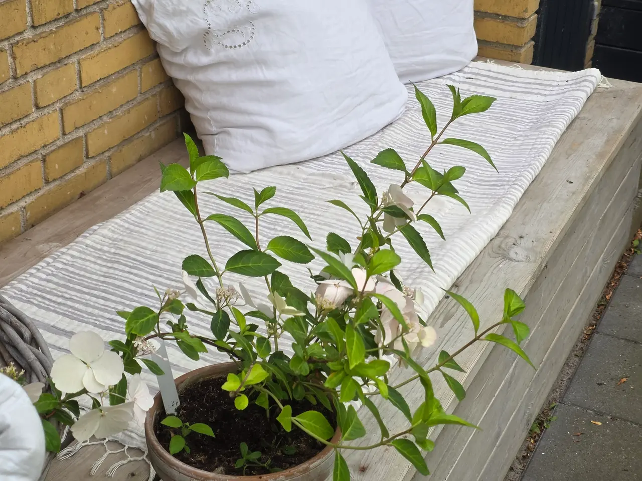 Billede 1 - Stor, solid væghængt bænk / loungesofa (L: 240 cm)