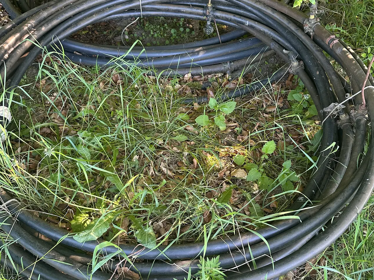 Billede 3 - Vandingsanlæg, slanger m. Sprinkler