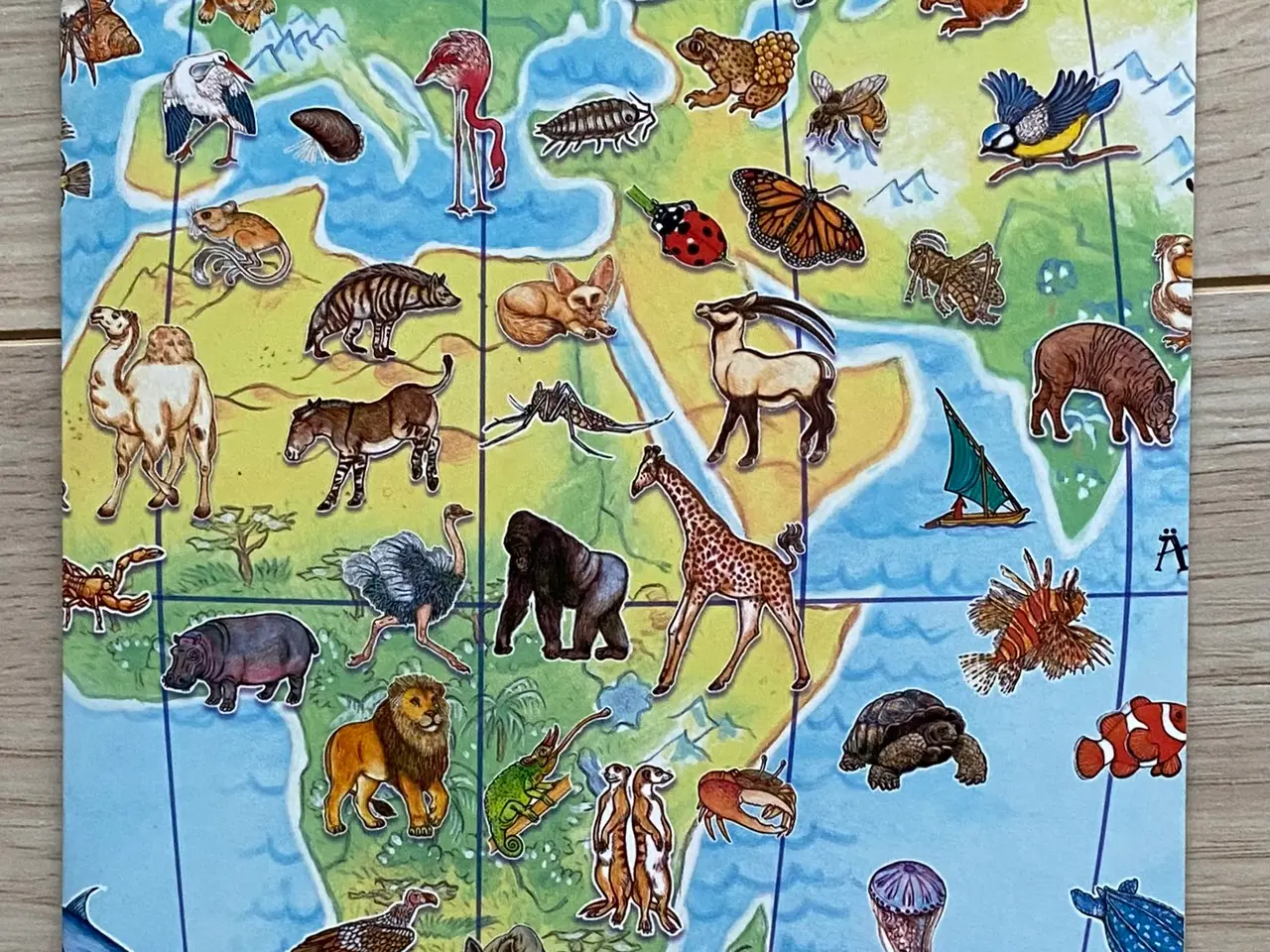 Billede 5 - Djeco Observation Puzzle / Verdenskort med dyr 100
