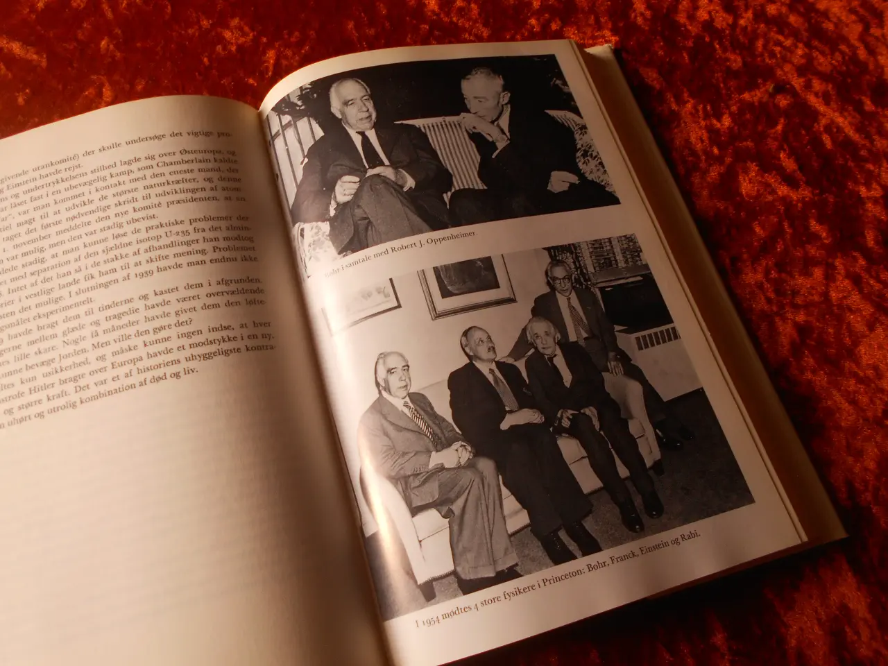 Billede 3 - Niels Bohr - en biografi, Ruth Moore,