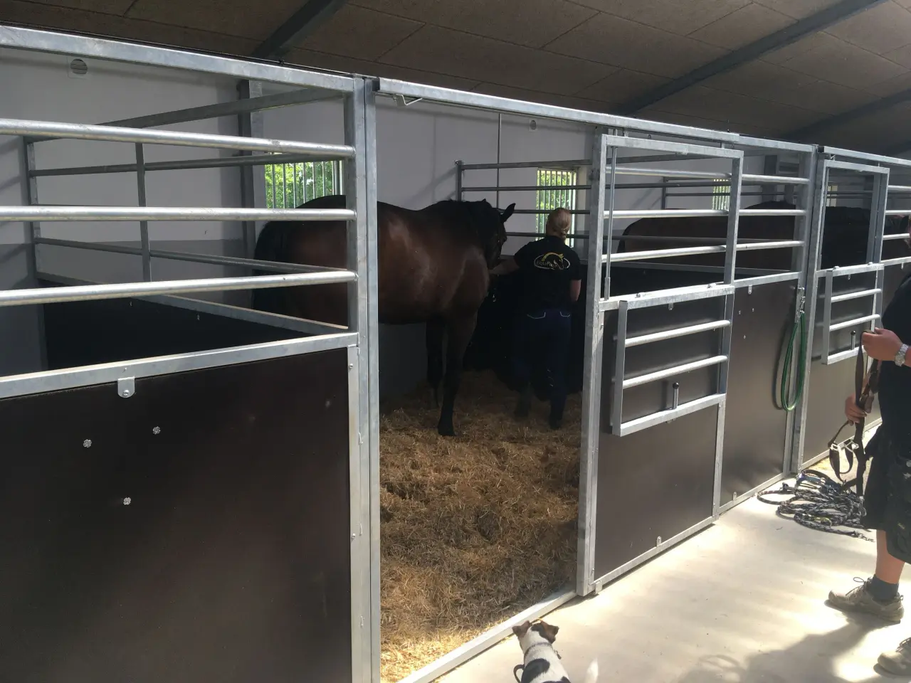 Billede 5 - FLEXI BOKSE