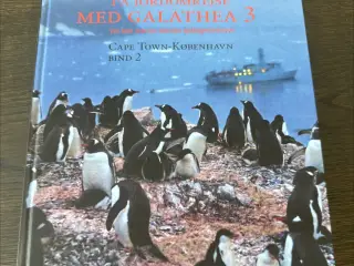Galathea bind 2