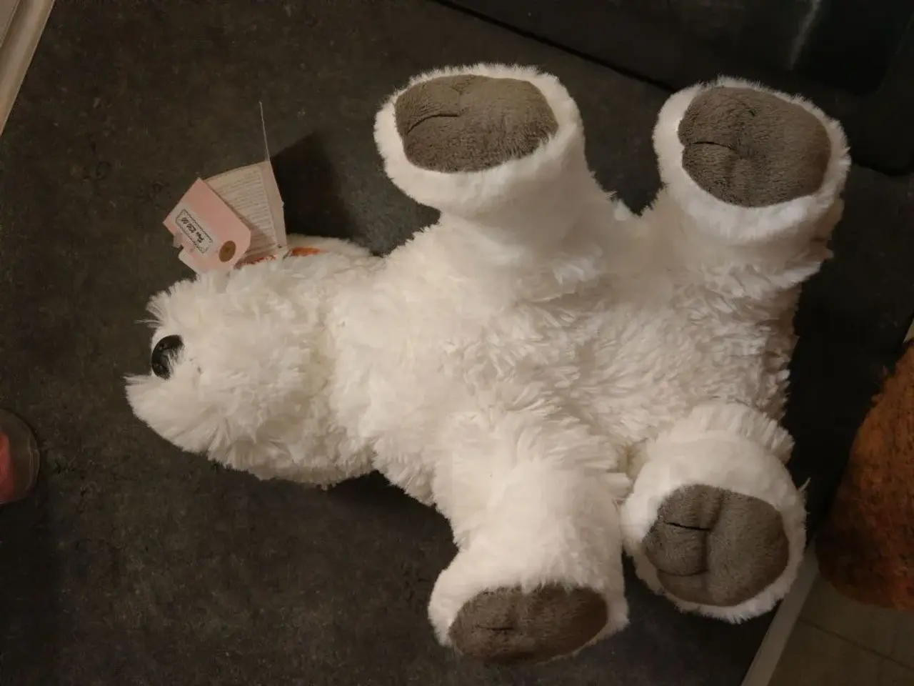 Billede 6 - Westie toyboy/girl