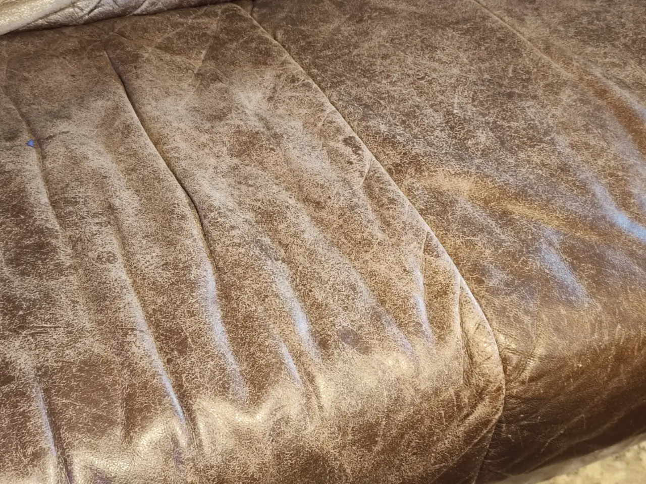 Billede 6 - U-lædersofa "Shar Pei" - design.