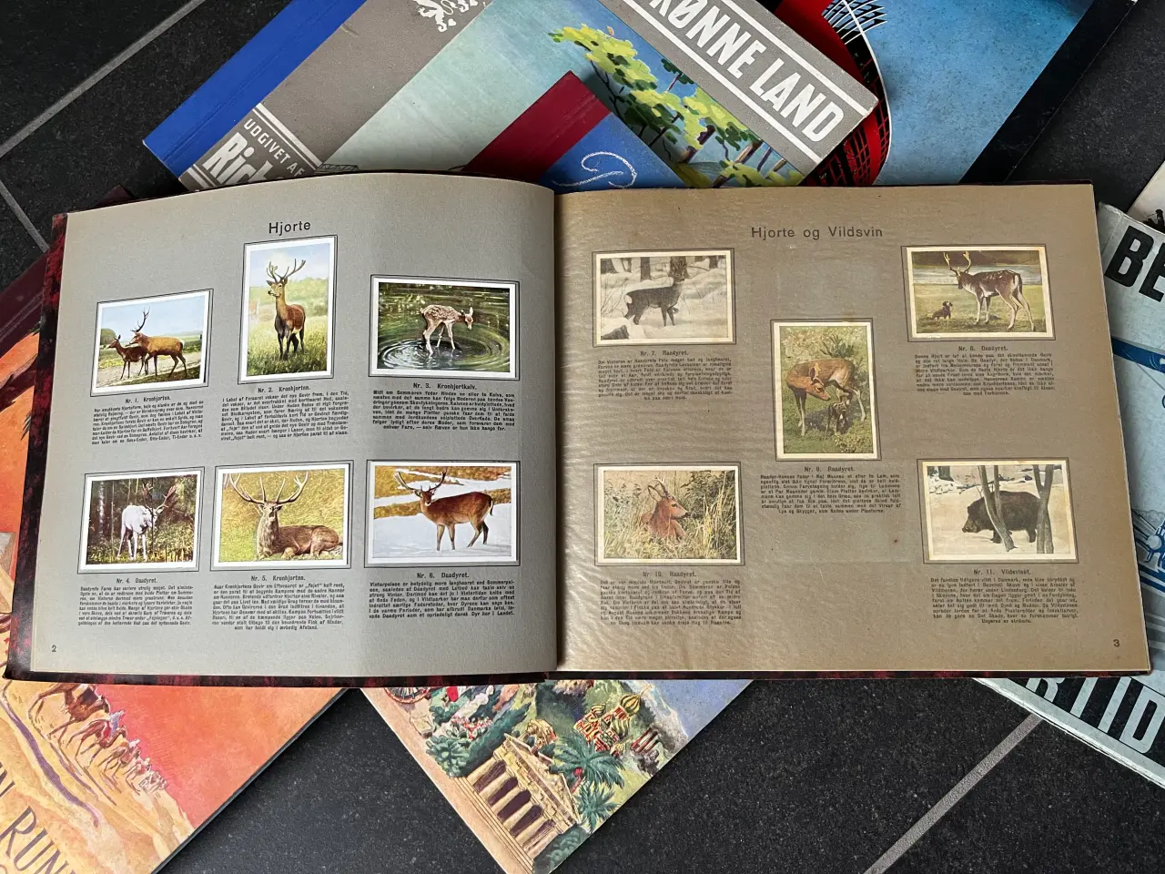 Billede 6 - Richs Samlealbum