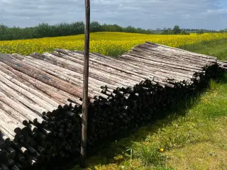Pæle Ø 6-7 cm X 2,5 m