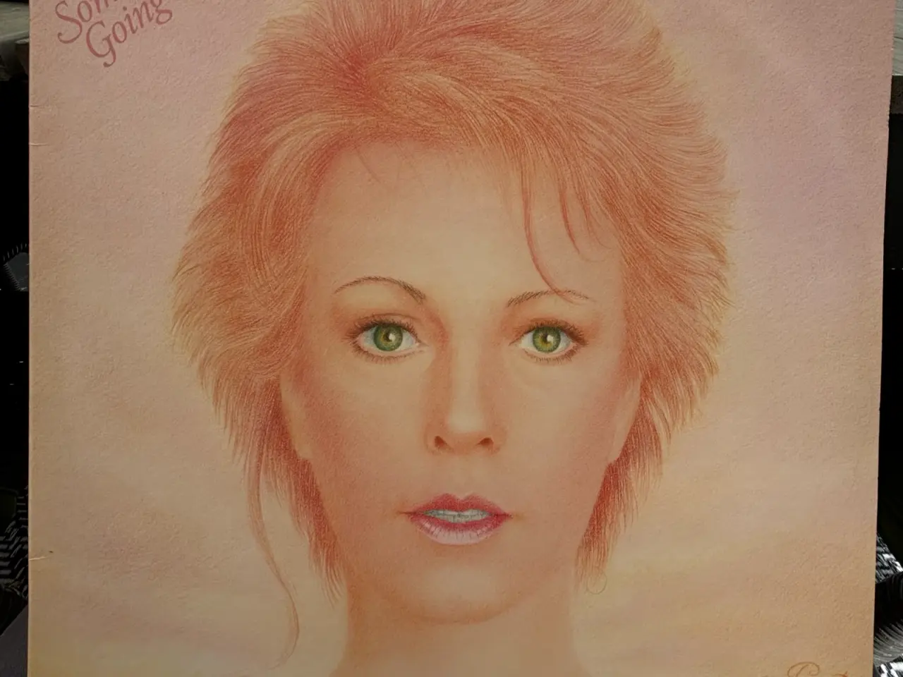 Billede 20 - VINYL LP