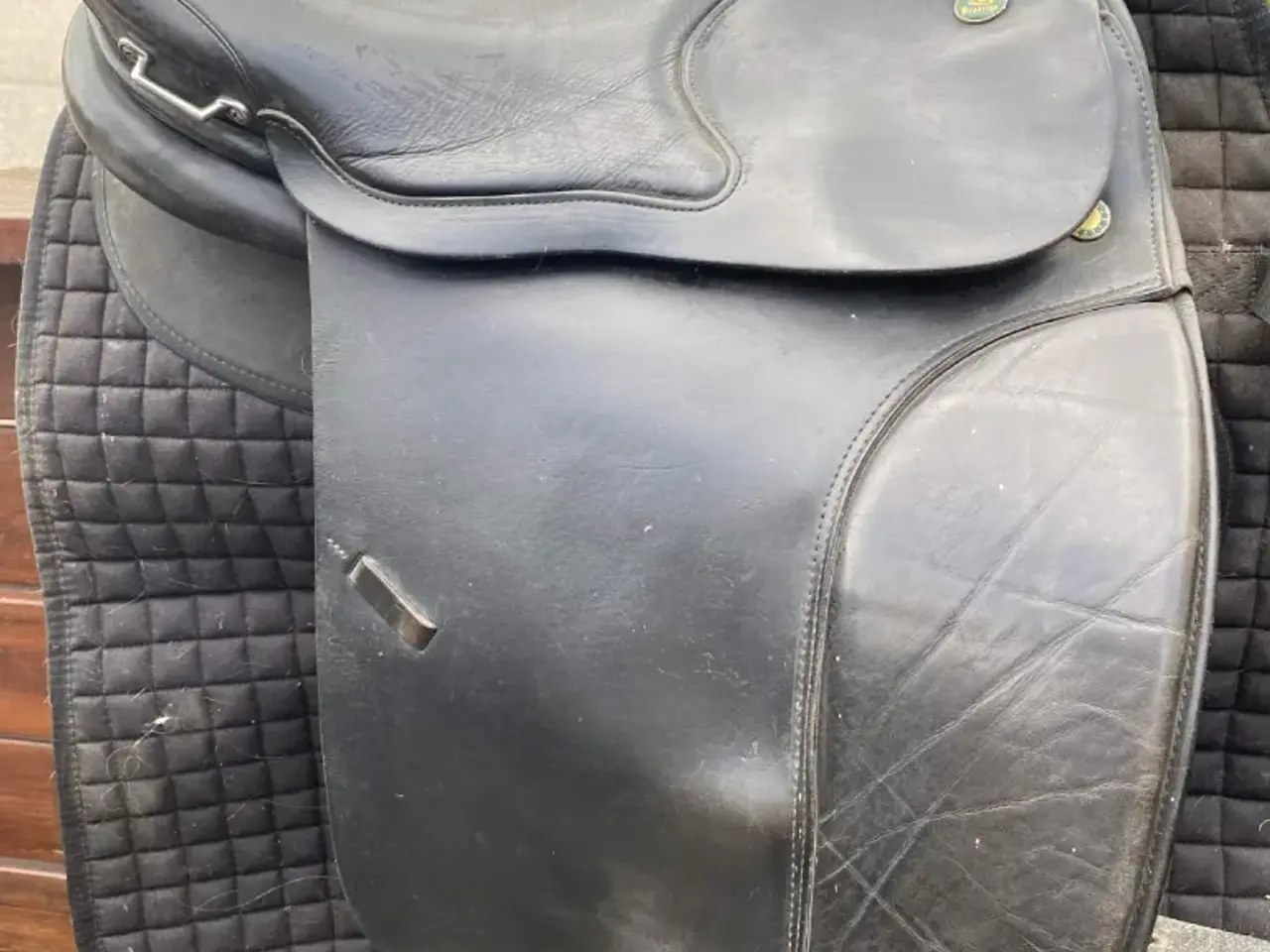 Billede 5 - TOP REITER & Prestige Appaloosa