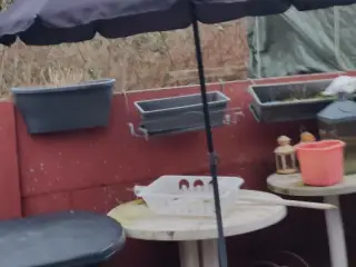 Parasol